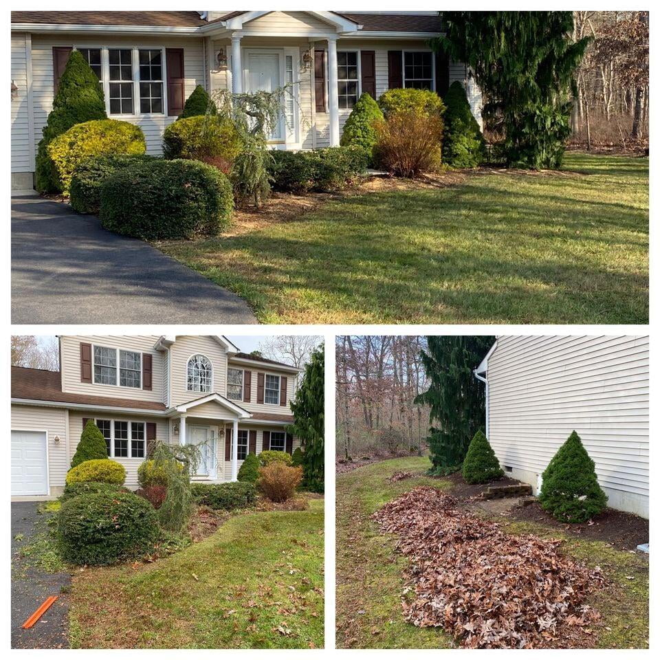 Fall Clean Ups